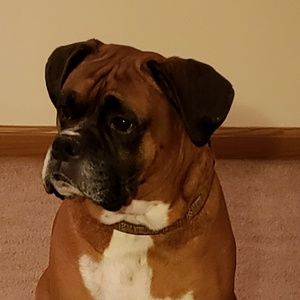 Meet your Posher, Patty